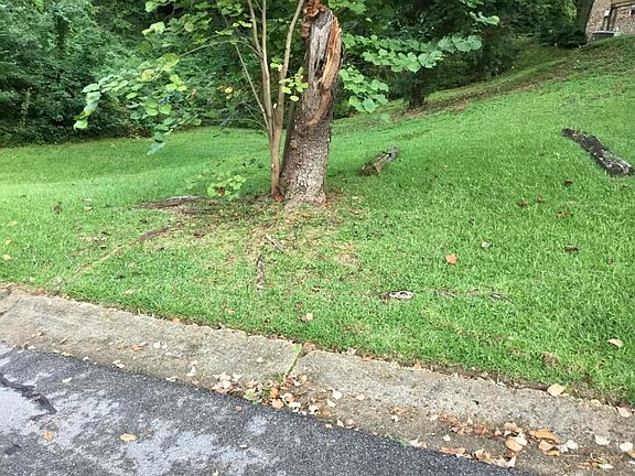 4th image of 1126 S Hillview Dr