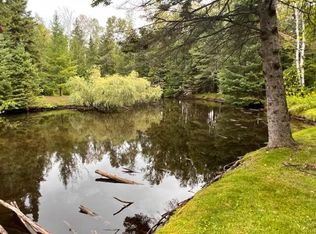3748 Victor Dr, Indian River, MI 49749