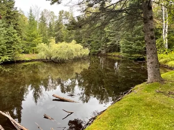 3748 Victor Dr, Indian River, MI 49749