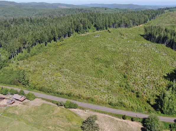 0 Butte Creek Road, Raymond, WA 98577