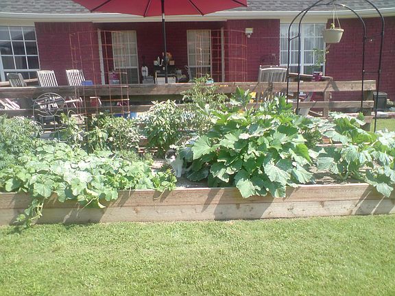 Raised Garden off Back Deck