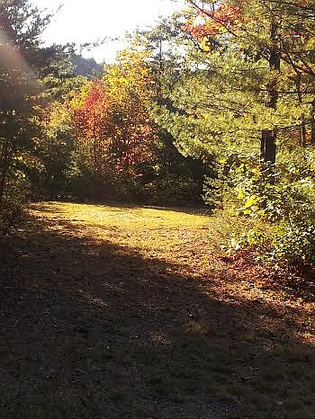 2nd image of Deer Run #226