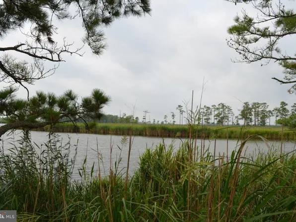 Decoursey Bidge Rd, Vienna, MD 21869
