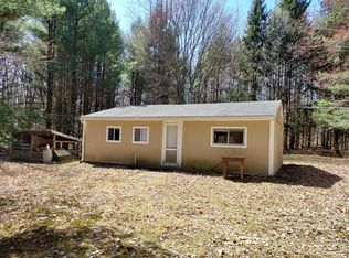 10534 100th Ave, Evart, MI 49631