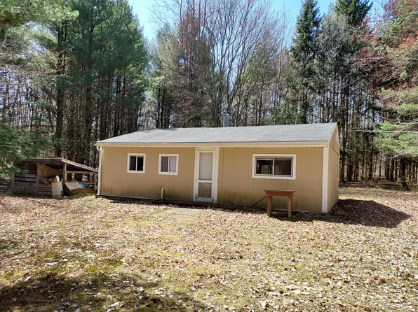 10534 100th Ave, Evart, MI 49631