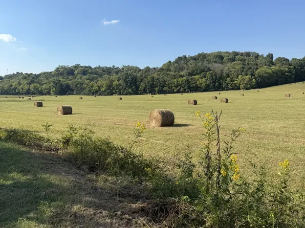0 Cheatham Springs Rd, Wartrace, TN 37183