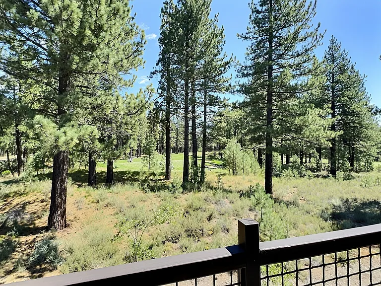 10239 Annies Loop — Photo 15