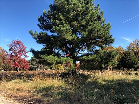 4th image of Dogwood Trl