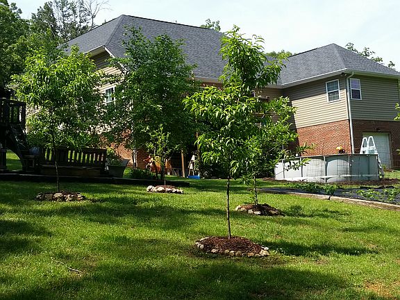 4th image of 264 Lower Woods Trl NE