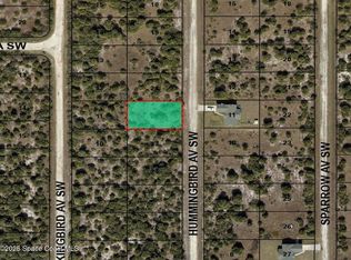 3264 Hummingbird Ave SW, Palm Bay, FL 32908