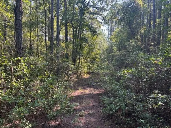 224 SE 8th Ave, Palatka, FL 32177