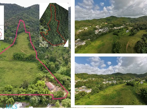 1.65 La Rolina #Km, Humacao, PR 00791