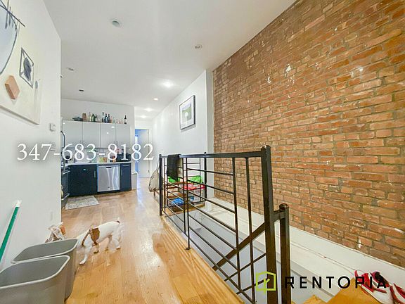 3rd image of 867 Halsey St #1L