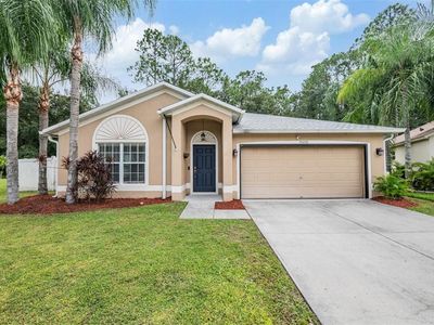 35230 Meadow Reach Dr, Zephyrhills, FL, 33541