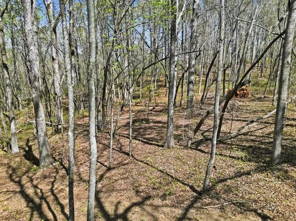 129 Heritage Plantation Dr, Ball Ground, GA 30107