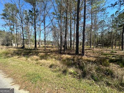 102 Trail S, Fleming, GA, 31320