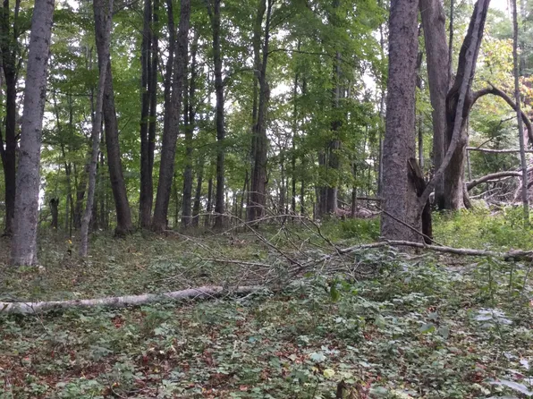 999 Little Mountain Dr, Hillsboro, WV 24946