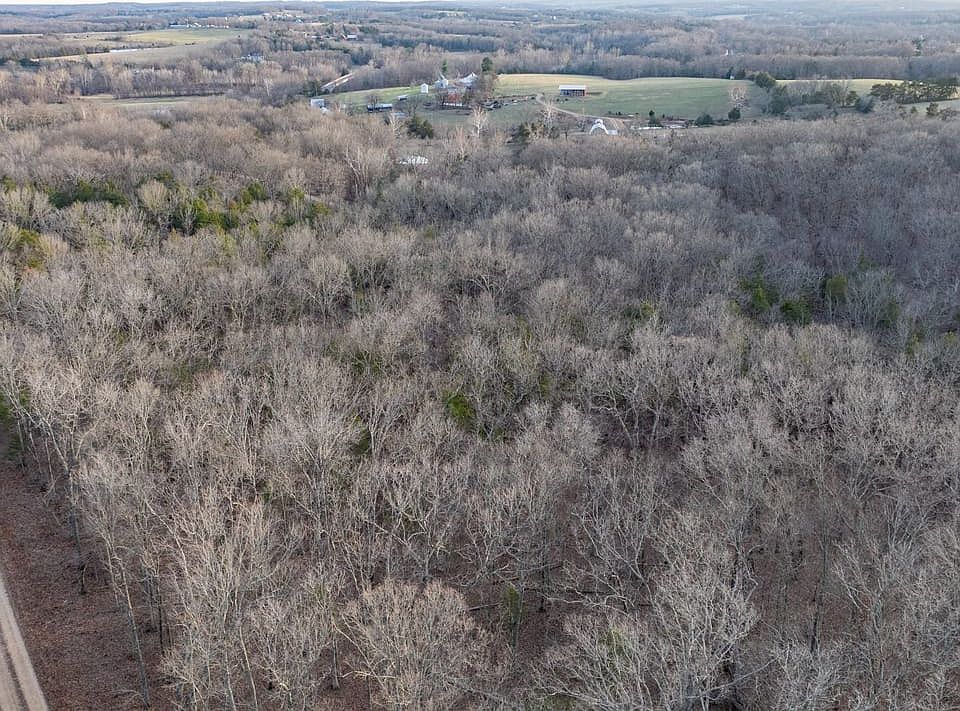 Dji Fly 20251219 064610 0366 1766586298213 Photo