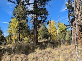 303 Viewcrest Way, Florissant, CO 80816