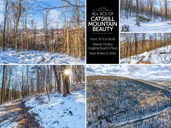 0 State Route 28, Andes, NY 13731