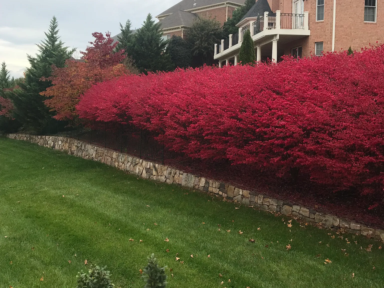 4 bed, 6000 sqft, $5,500 — Photo 4