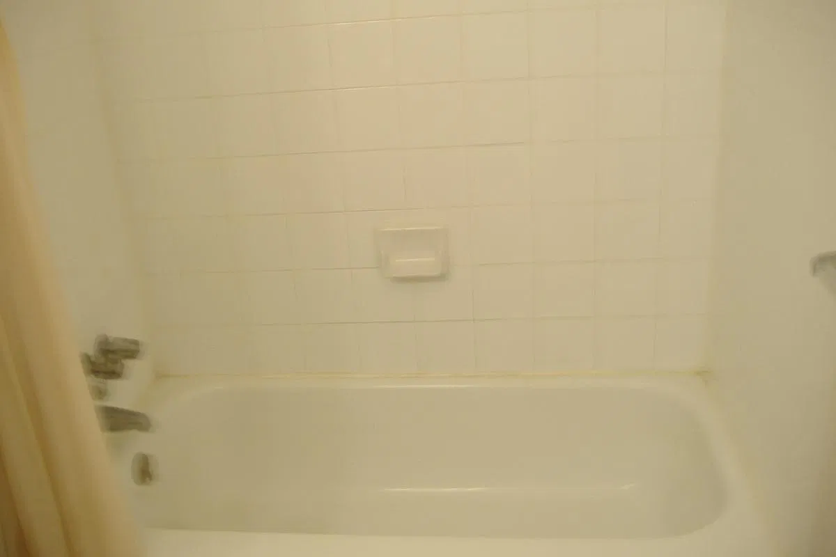 2 bed, 740 sqft, $825 — Photo 4