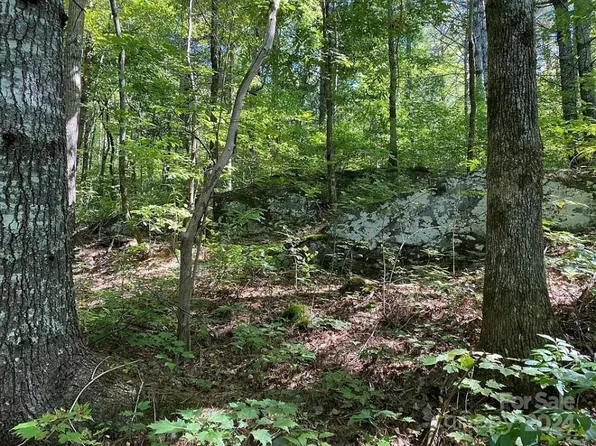 0 Trillium Heights Ter #38, Hayesville, NC 28904