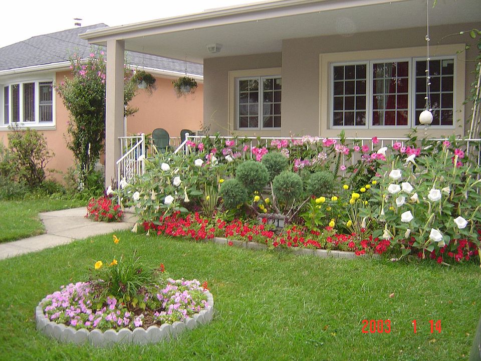 Picture Perfect House
