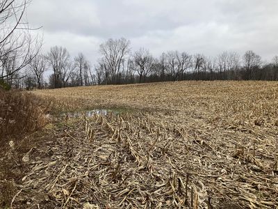 0 W Jerusalem Rd, Chelsea, MI, 48118