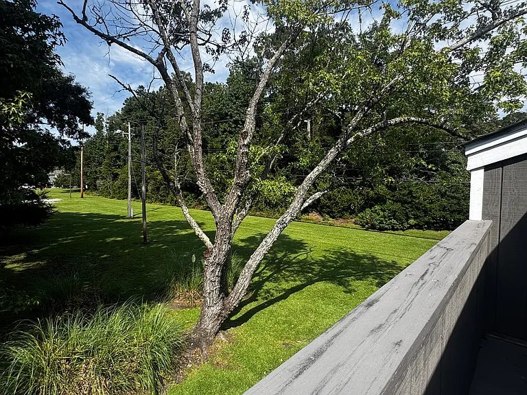 BCview_08262025