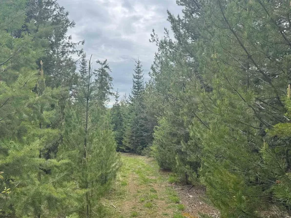 8 Bandmill Hts, Orofino, ID 83544