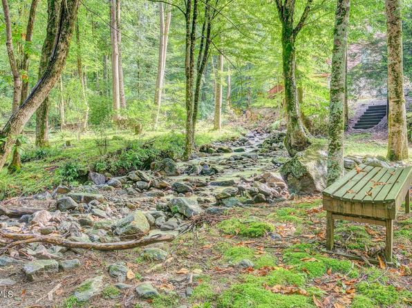 206 Toms Creek Cir, Roan Mountain, TN 37687