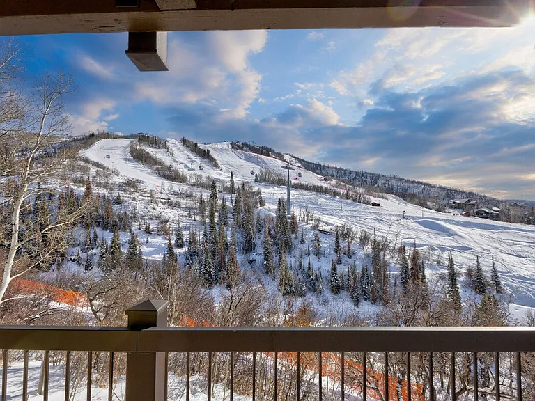 Window View