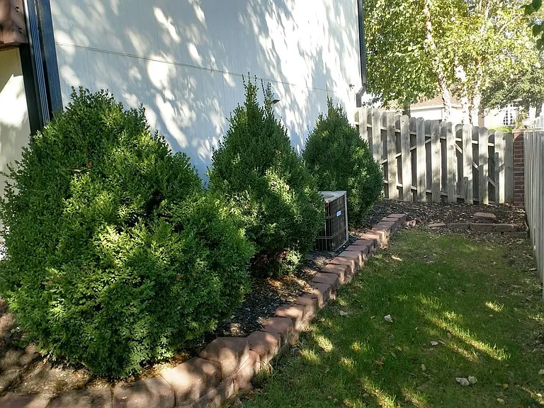 South side of house
