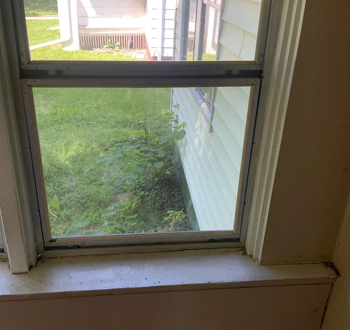3 bed, 1150 sqft, $895 — Photo 2