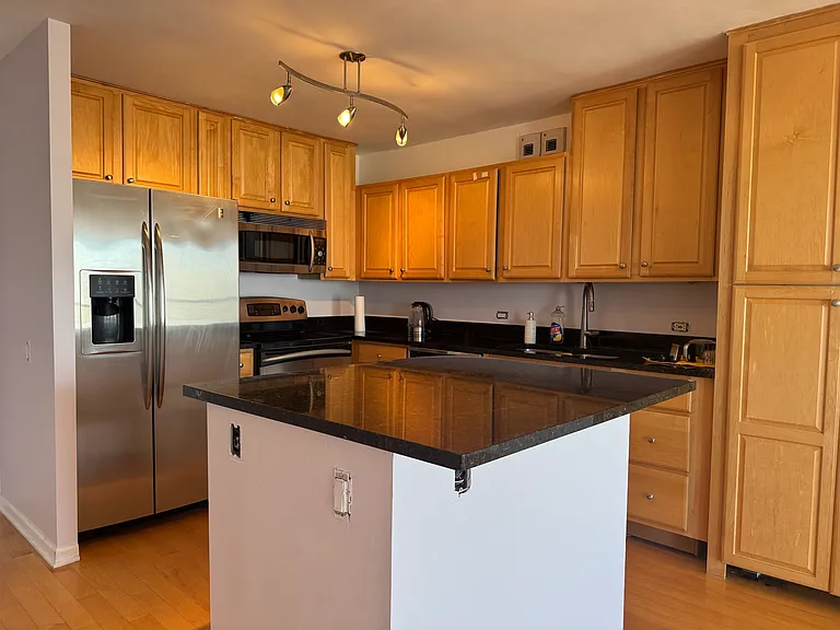 405 N Wabash Ave #4711 — Photo 16