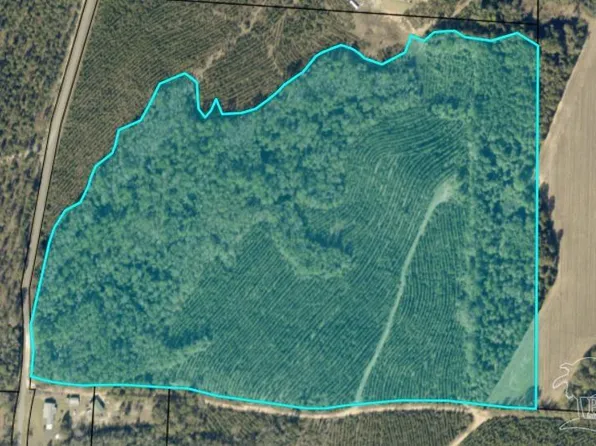 0 Watson Rd, Jay, FL 32565