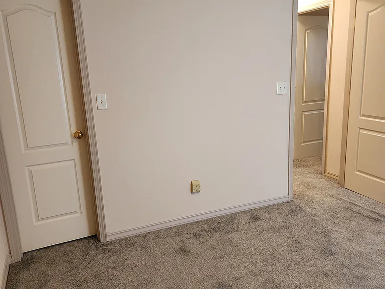 1517 Alovera Ln — Photo 23
