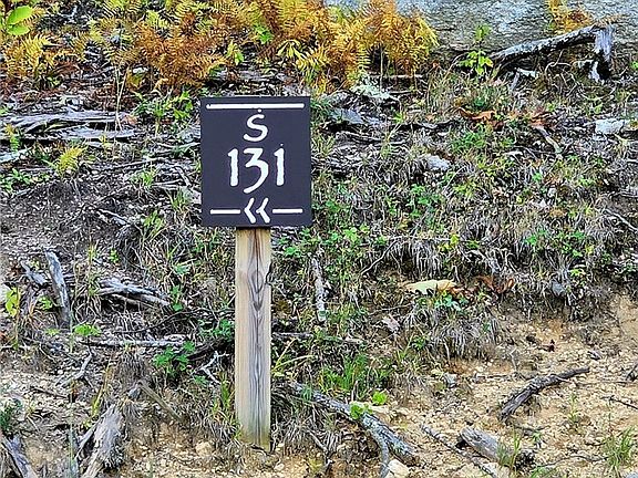 5th image of 131 Eagle Roost