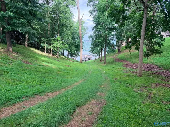 230 Lookout Mountain Dr, Scottsboro, AL 35769