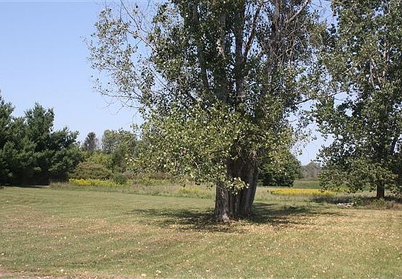 6879 webster, 2888 imlay city 016