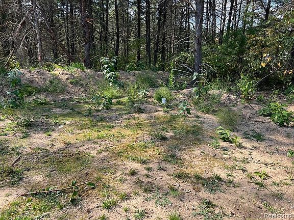 4th image of 213 Memory Ln