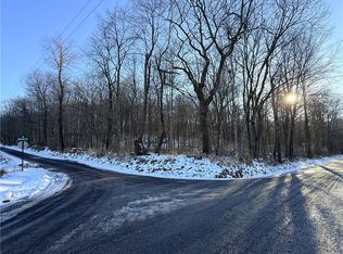 0 Willow Rd, Shelocta, PA 15774