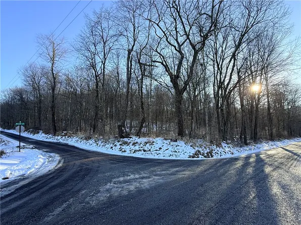 0 Willow Rd, Shelocta, PA 15774