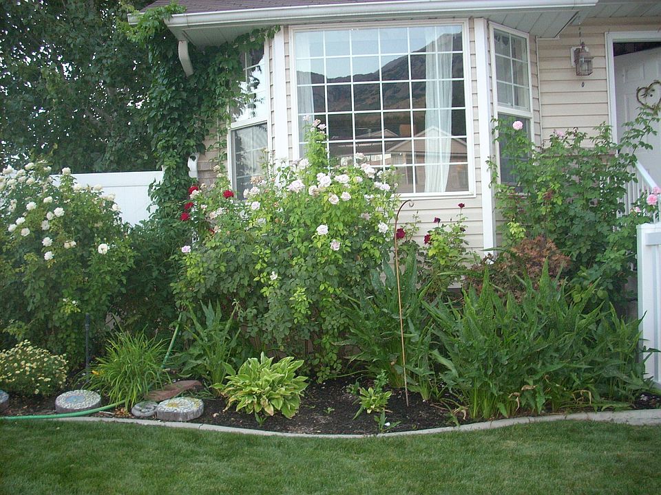 Another view of the flower bed near front door.