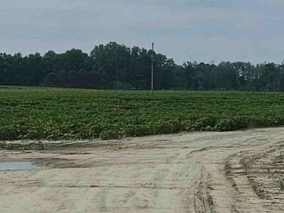 Exterior Neighborhood (street photo)