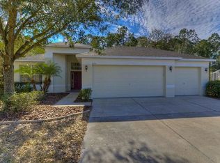 8206 Swann Hollow Dr, Tampa, FL 33647