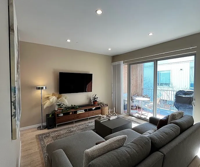 Living Room and Patio