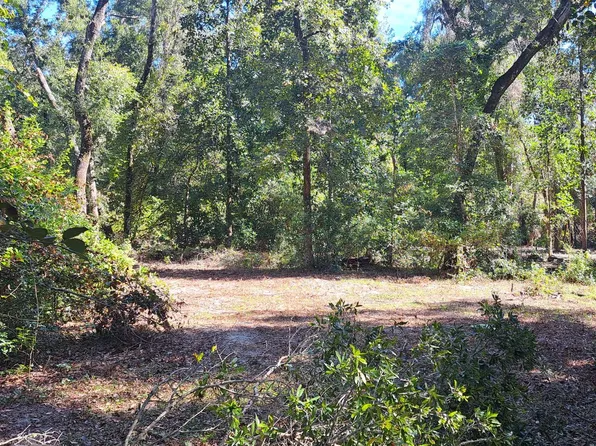 1673 SW Central Ter, Fort White, FL 32038