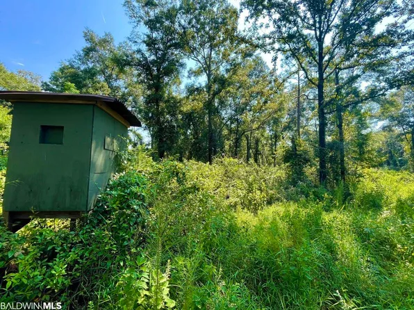 0 Albert Evans Rd S #2, Wilmer, AL 36587